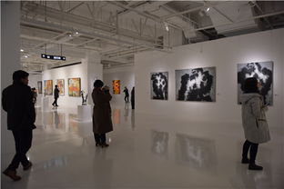 布拉格中欧国际艺术双年展中国作品展在山水美术馆开幕 共绘文化艺术交流新篇章